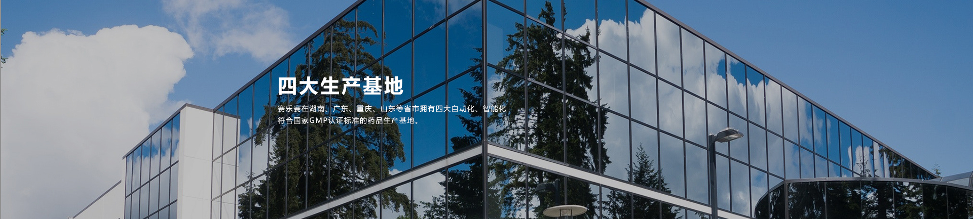 赛乐赛减肥药